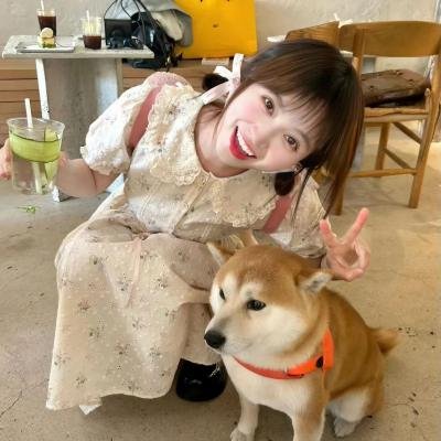 危险之爱